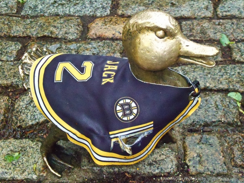 02 - Boston Bruins - Ducklings