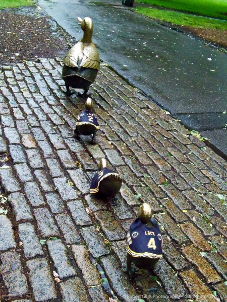 06 - Boston Bruins - Ducklings
