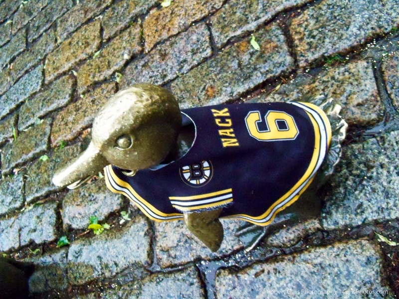 07 - Boston Bruins - Ducklings