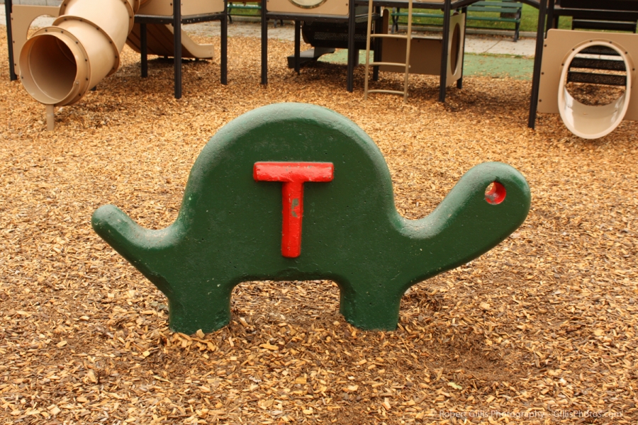 57 Castle Island - Playground Turtle