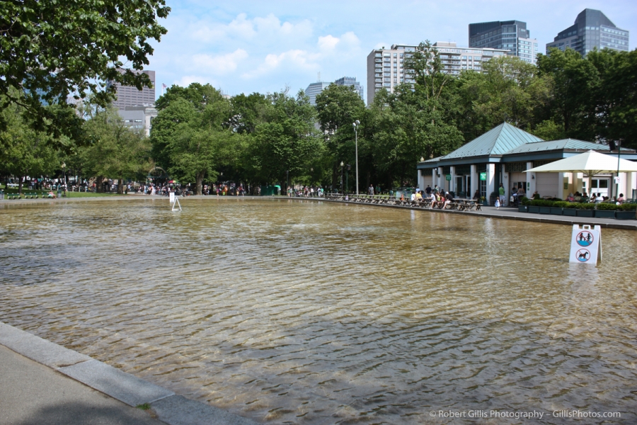 12 Boston Common - Frog Pond in summer