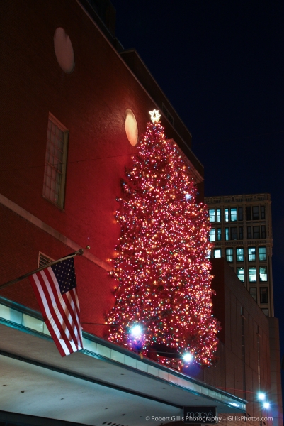 01 Downtown Boston Christmas Macys Tree