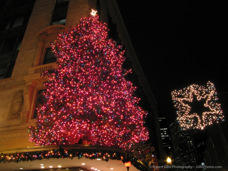 11 Downtown Boston Christmas Macys Tree