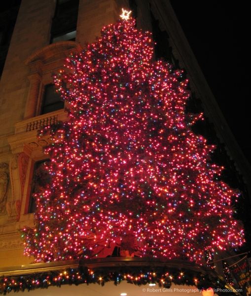 12 Downtown Boston Christmas Macys Tree