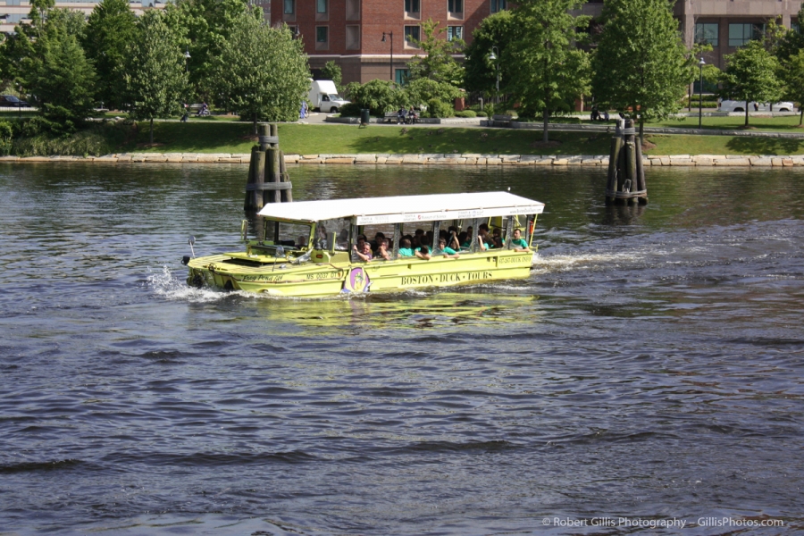 06 Boston Duck Tours  Frog Ponf Lily