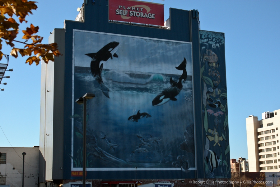 24 Boston Other - Summerfields Whales - Wyland Painting