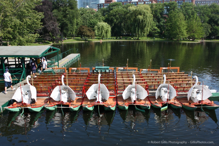 12 - Boston Public Garden - Swan Boats