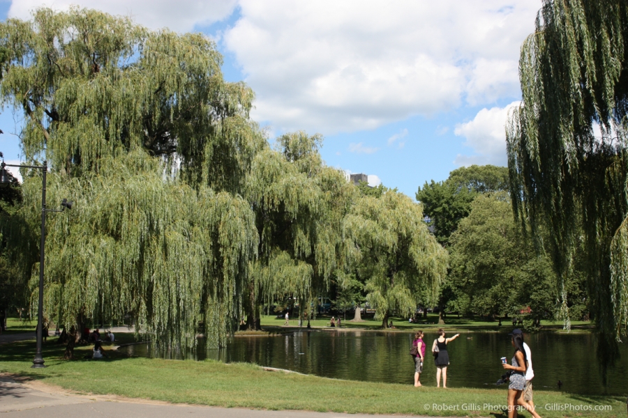 18 - Boston Public Garden