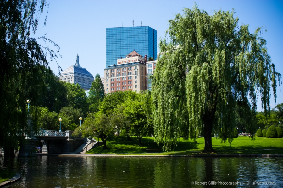 25 Boston Public Garden - Swan Boats