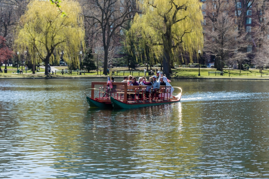 30 Boston Public Garden and Swan Boats