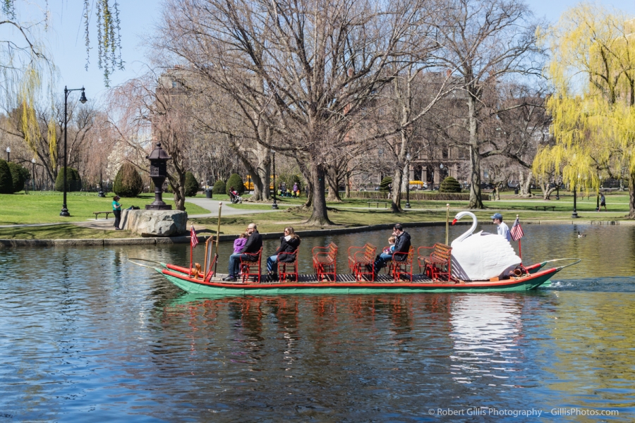 32 Boston Public Garden and Swan Boats