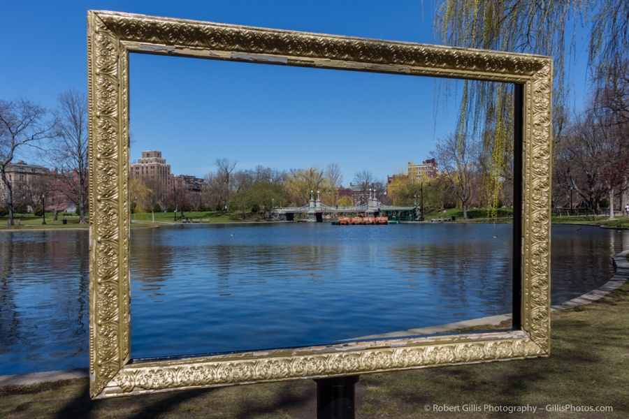 34 Boston Public Garden Picture frame