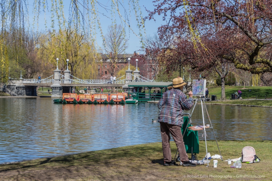 35 Boston Public Garden and Artist 9758