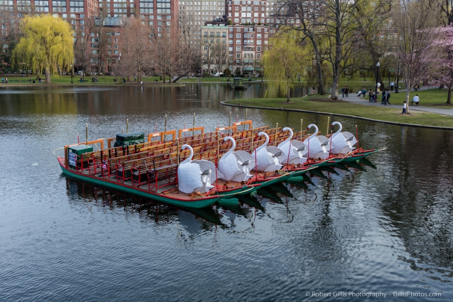 39 Boston Public Garden - Swan Boats