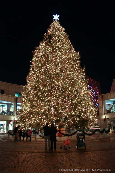 03 Quincy Market and Faneuil Hall Christmas