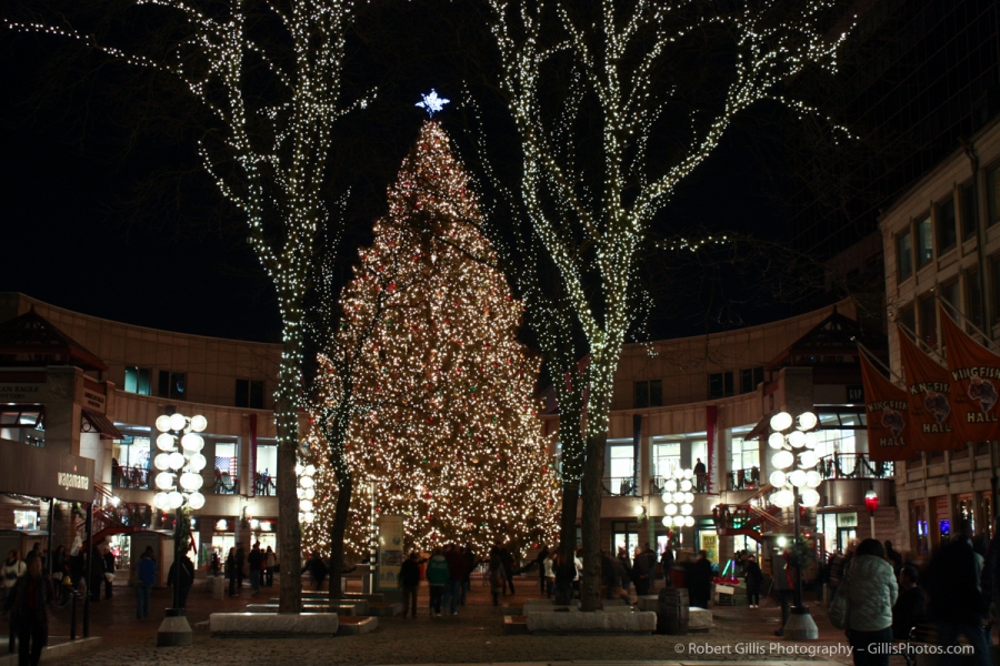 05 Quincy Market and Faneuil Hall Christmas