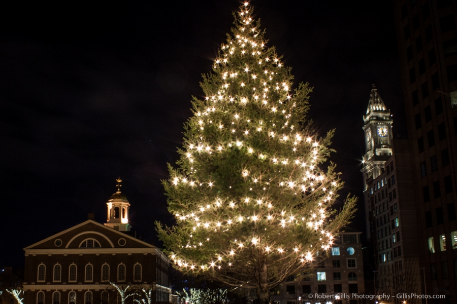24 Quincy Market Christmas - Govt Center Tree with Custom House and Fanuel Hall