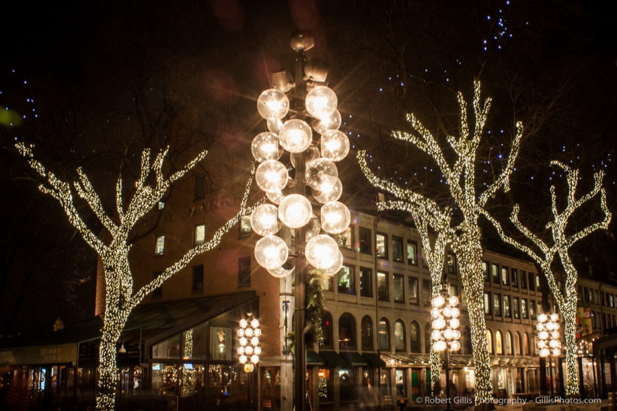 26 Quincy Market Christmas Lights and Trees