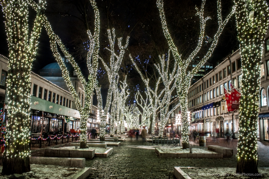 27 Quincy Market Christmas Lights and Trees