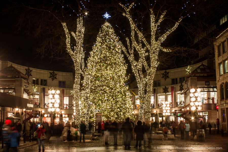 28 Quincy Market Christmas Tree