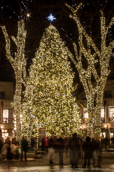 29 Quincy Market Christmas Tree
