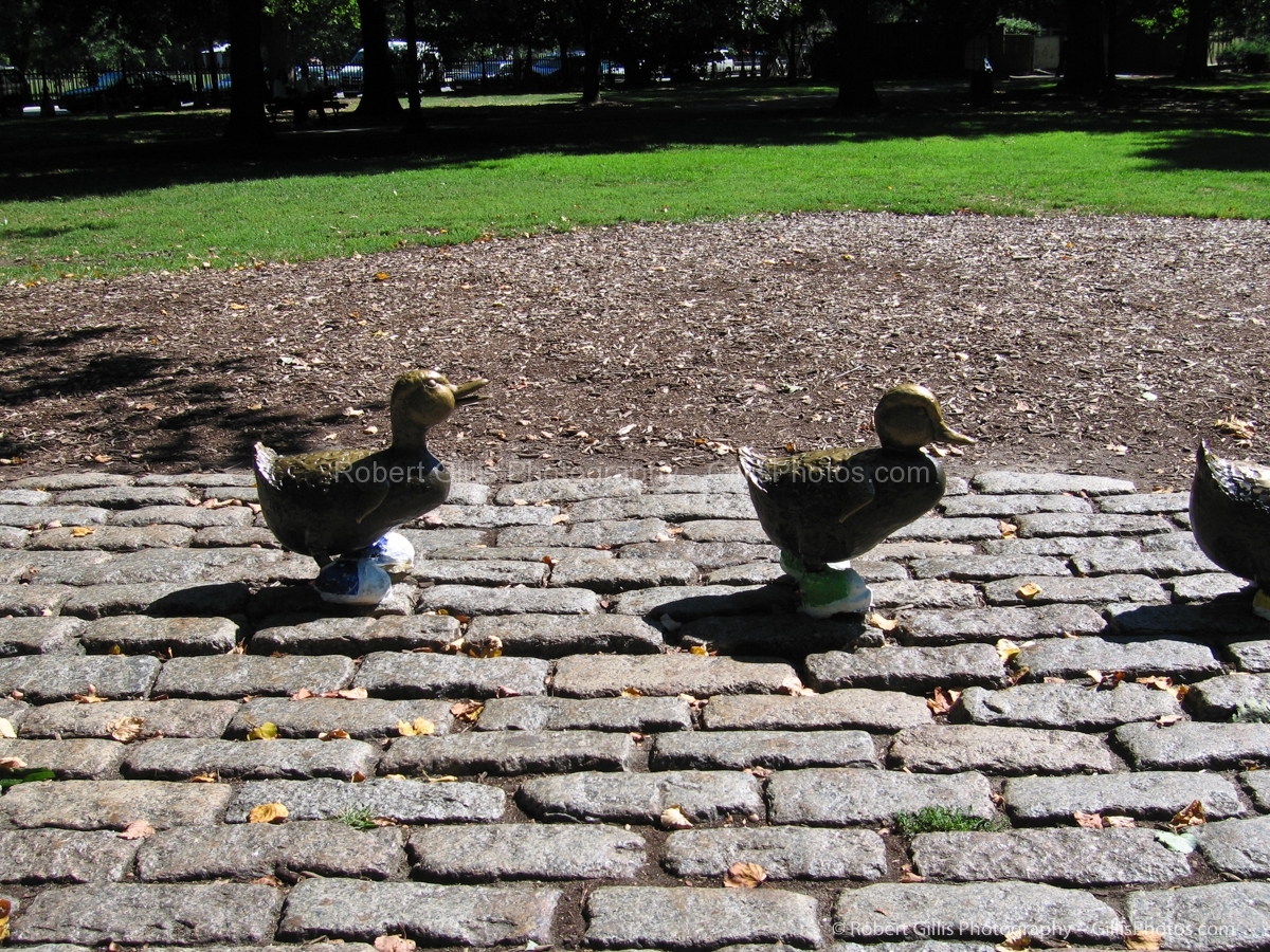 05 Boston Sneakers on Statues - Ducklings