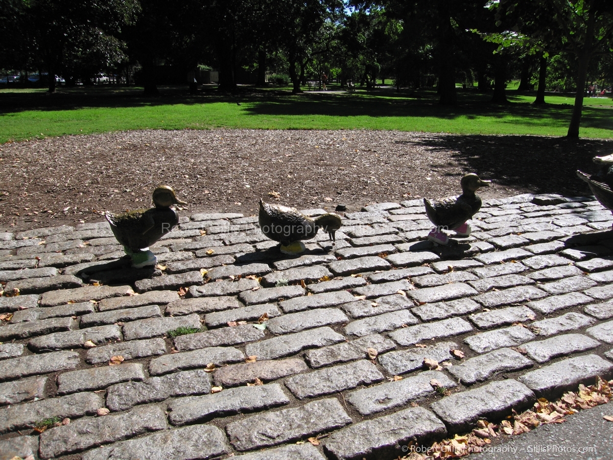 06 Boston Sneakers on Statues - Ducklings