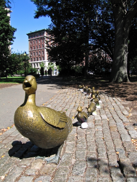 07 Boston Sneakers on Statues - Ducklings