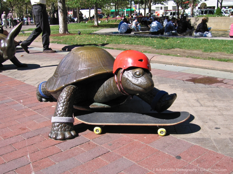 30 Boston Sneakers on Statues - Tortoise