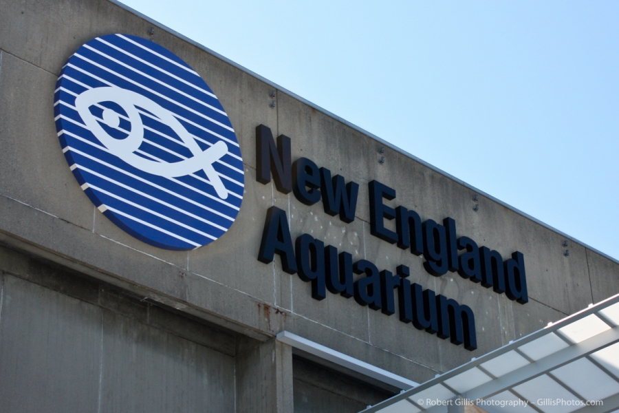 14 Boston Waterfront - New England Aquarium