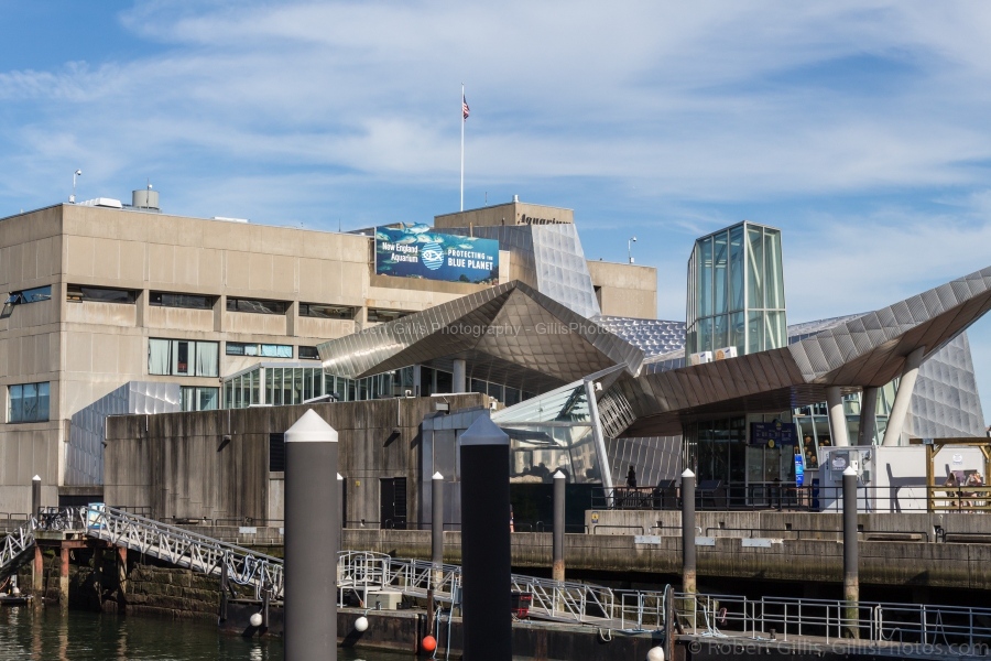 50-Boston-Waterfront-New-England-Aquarium
