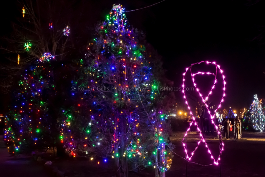 115 La Salette at Christmas