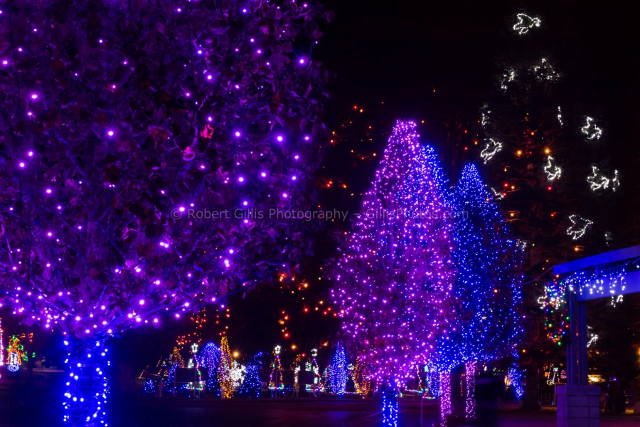 135 La Salette at Christmas