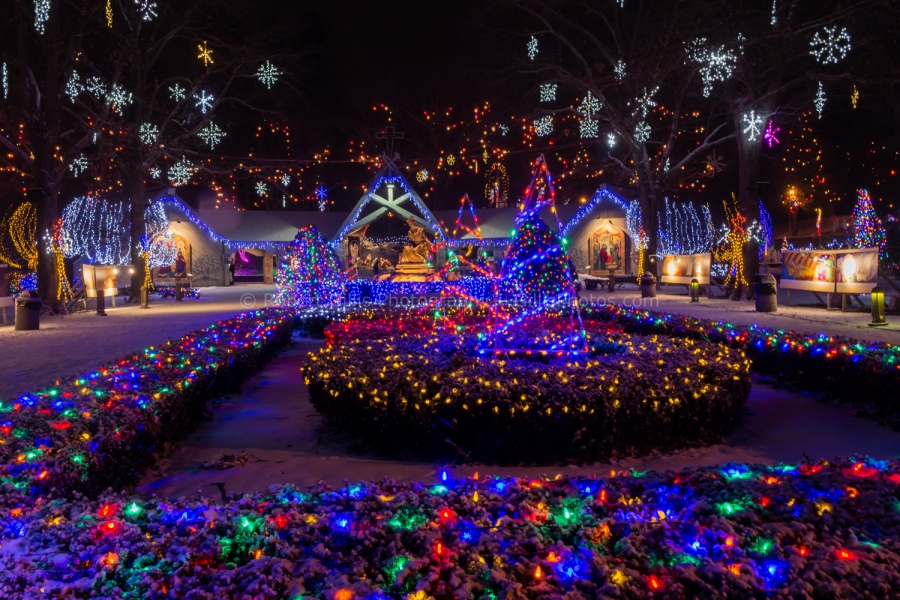 144 La Salette at Christmas - Garden With Nativity In Background