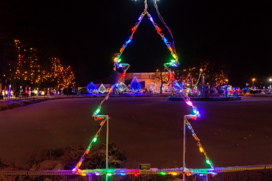148 La Salette at Christmas - Rosary Pond Frozen - Tree