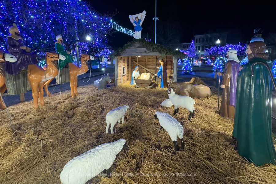 83-Nativity-Taunton-Green-2024
