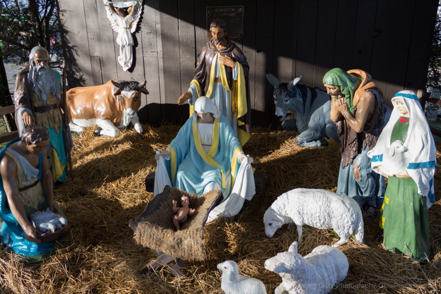 77-Nativity-Foxboro-Restored-Day 77-Nativity-Foxboro-Restored-Day