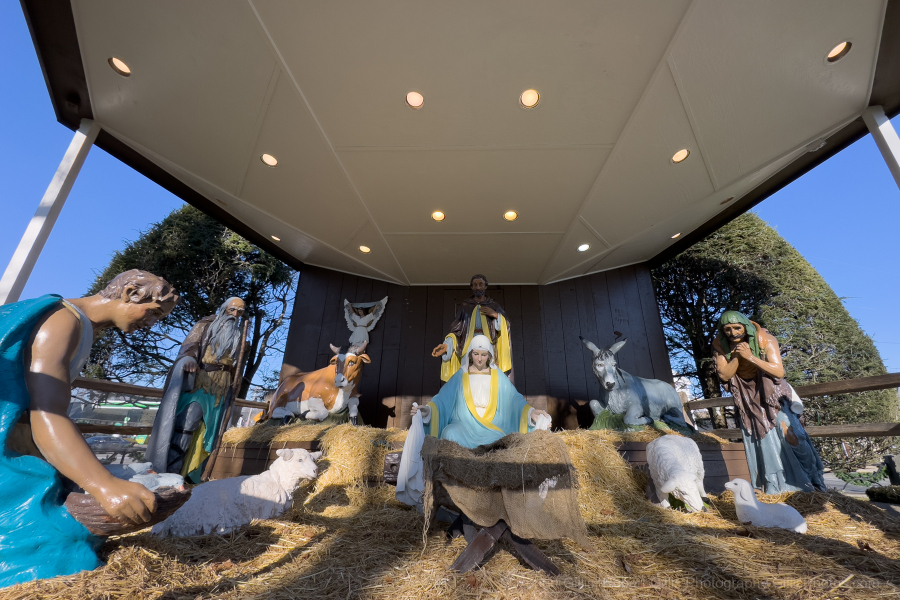 82-Nativity-Foxboro-Restored-Advent-Day 82-Nativity-Foxboro-Restored-Advent-Day