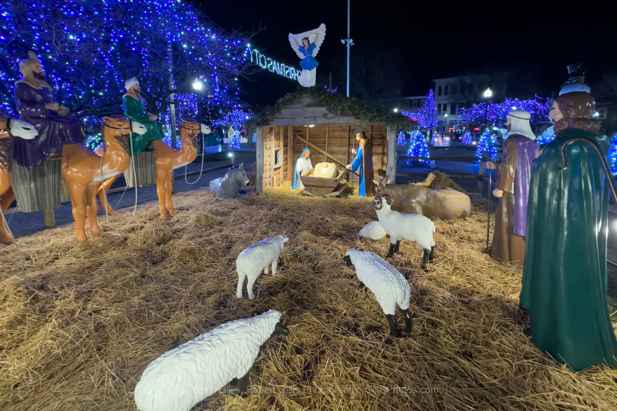 83-Nativity-Taunton-Green-2024 83-Nativity-Taunton-Green-2024