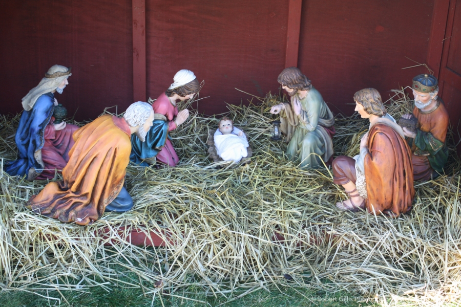 20 Nativity - Foxboro - Knights of Columbus