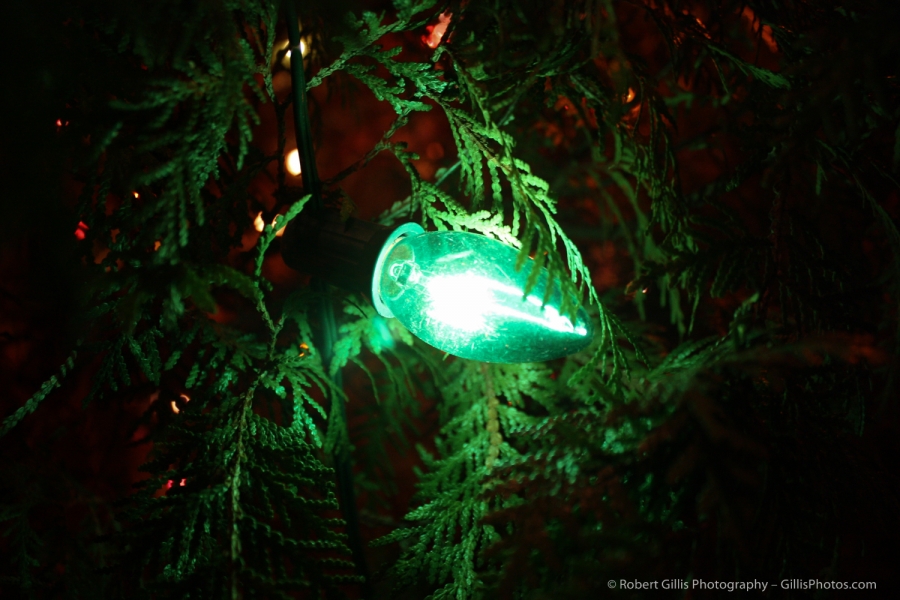 16 Christmas Still Life - Old Fashioned Green Bulb