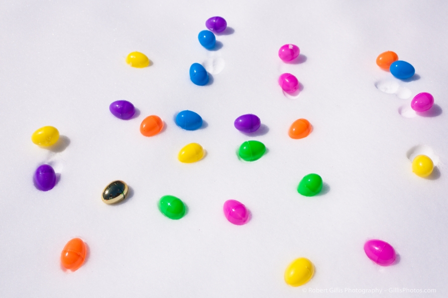 17 Easter - Color Easters In The Snow