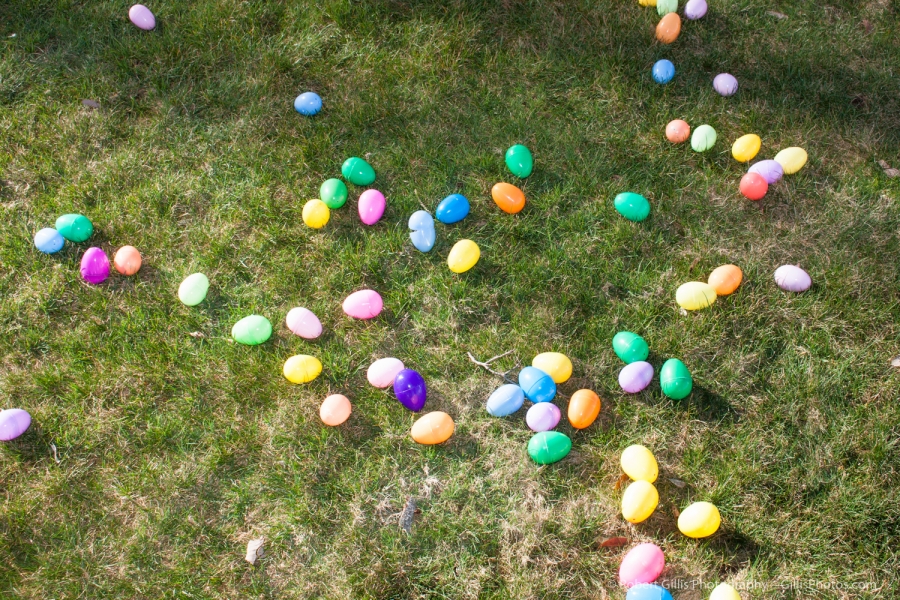 20 Easter - Eggs on Grass