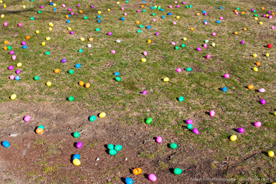 22 Easter - Eggs on Grass