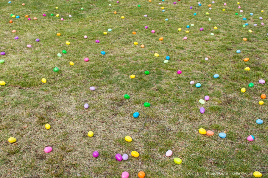 25 Easter - Easter Eggs On Grass
