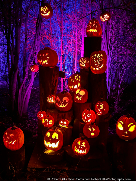 2024-10-24-Roger-Williams-Pumpkins-008