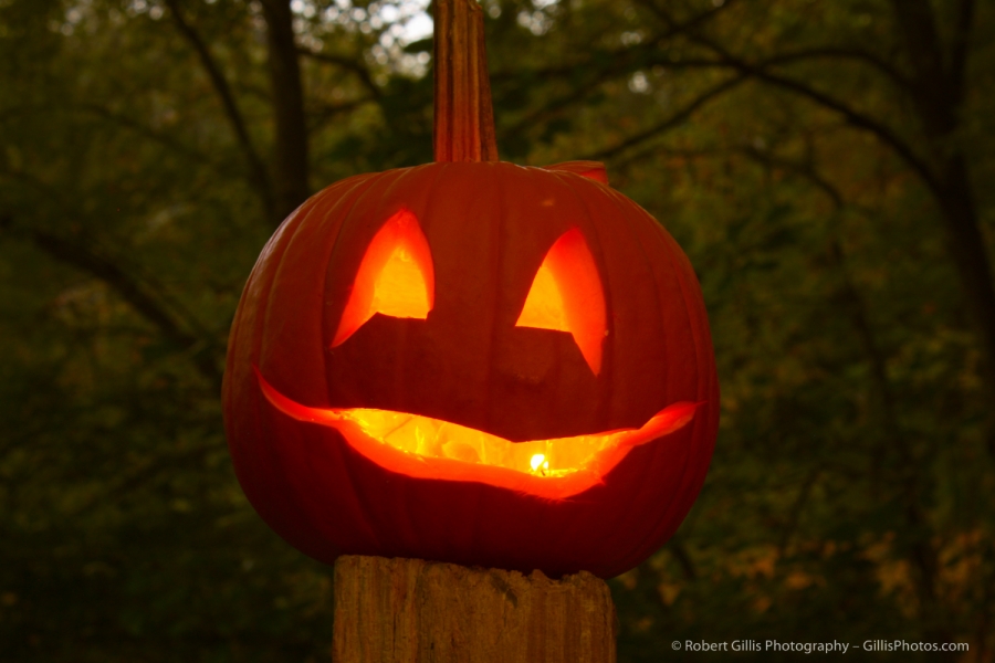 01 JackOLantern