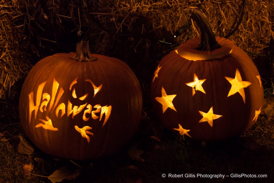 042 Ogunquit Halloween - Anchorage Pumpkins