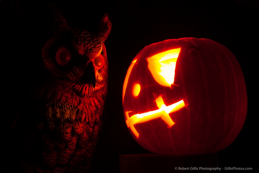 05 JackOLantern and Owl
