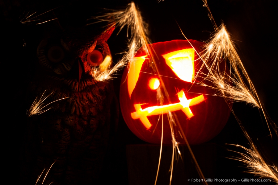 06 JackOLantern - Owl and Sparks